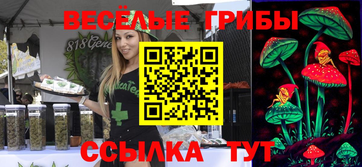 Псилоцибиновые грибы Psilocybe Лабытнанги