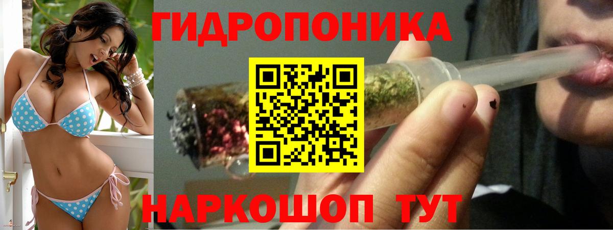Бошки Шишки ГИДРОПОН  Вход с VPN  Каннабис OG Kush  Канабис сатива  Лабытнанги 